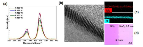 (a) R-zone 온도 변화에 따른 MoS2의 Raman peak intensity 변화; (b) MoS2 박막의 단면 TEM image; (c) Mo와 S의 EDS mapping 결과 (d) 박막 가장자리의 AFM height profile