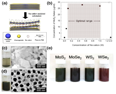 (a) Na 양이온을 활용한 MX2 박리 개념도 (b) Na 양이온 농도 변화에 따른 MoS2 nanosheet 농도 (c)(d) nanosheet들의 미세형상 (e) 2D 반도체 분산용액