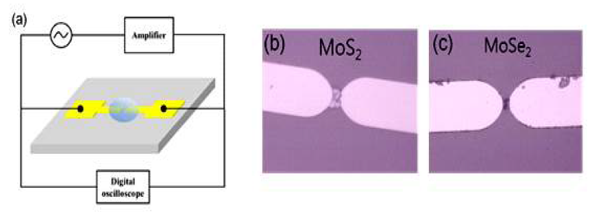 (a) DEP 증착기술의 모식도. DEP 방법으로 형성한 두 전극 사이에서 2D nanosheet들이 채널을 형성한 형상을 보여주는 사진들 (b) MoS2, (c)MoSe2