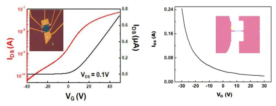 (a) ReS2 ; (b) Black phosphorus FETs의 transport curve 결과. Inset: FET 소자들의 광학 이미지