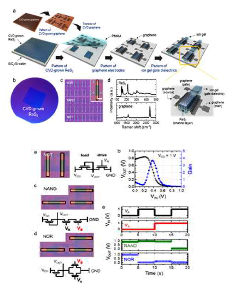 대면적 합성된 ReS2 채널층을 활용한 논리회로의 제조 공정(위)과 논리소자(NOT, NAND, NOR)들의 동작 결과 (아래)