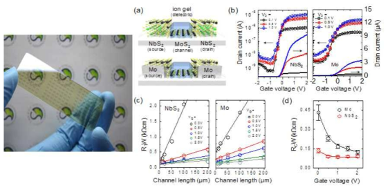 본 연구에서 증착한 NbS2와 Mo, MoS2 소자를 전극으로 사용한 FET의 전기적 특성
