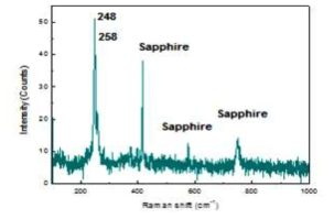 합성된 TiO2(1-x)Se2x 박막의 Raman scattering 결과