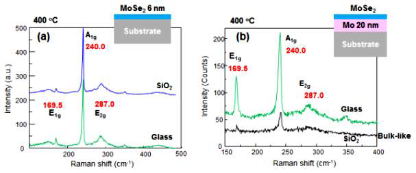 기판을 달리하여 (a) Mo 2 nm, (b) 20 nm를 증착한 후 기판온도 400 ℃에서 selenization하여 얻은 MoSe2 박막들의 Raman scattering spectra의 비교