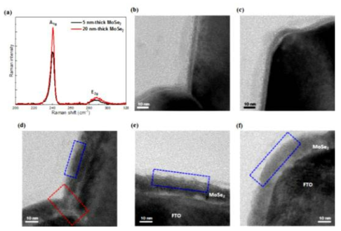 (a) 성장 방향이 달라도 결합상태는 우수함을 보여주는 Raman spectra (b),(c) 5 nm 두께의 MoSe2 박막이 거친 기판 위에도 균일하게 성장된 것을 보여주는 단면 HRTEM 사진들. (d), (e), (f) 매우 거친 기판 위에 20 nm 두께로 균일하게 성장한 MoSe2 박막의 단면 HRTEM 사진들