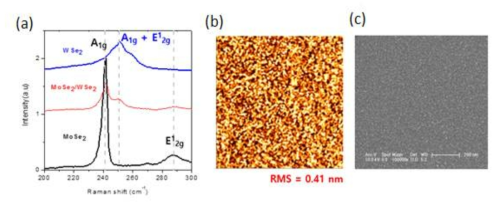 (a) MoSe2, WSe2와 MoSe2/WSe2의 Raman spectra 비교, (b-c) SiO2/Si기판 위에 제조한 MoSe2/WSe2박막의AFM image와 SEM image