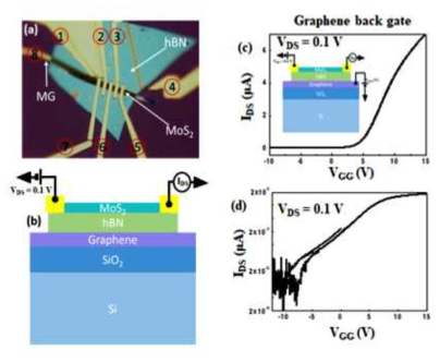 MoS2/hBN/graphene 이종접합 소자의 광학 image (b) 소자의 단면 구조와 source-drain 전극의 연결구성도 (c) (d) Graphene back gate 와 2-6 전극 간을 S-D으로 하여 측정한 Transfer curve를 linear scale 과 log scale로 그린 결과들