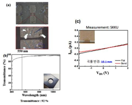 (a) PES 기판 위에 제조한 WS2/graphene 이종접합 소자의 광학 image (b) 소자의 투과도 측정 결과 (550 nm 파장 기준 92% 투과도) (c) 곡률반경 10 mm인 상태와 flat 상태일 때 소자의 source-drain 사이의 저항을 측정한 결과