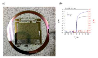 (a) 6인치 glass 상에 형성된 AMOLED 패널 사진 및 (b) TFT 전달 특성