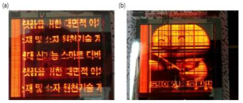 AMOLED 패널 작동 모습 (a) 텍스트(과제명), (b) 동영상 구동 사진