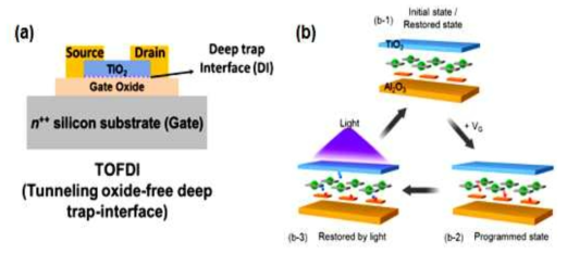 (a) TiO2-FET를 기반으로 하는 간단한 구조의 TOFDI 메모리 소자를 제조 (b) 전기 pulse로 쓰고 광으로 지우는 현상을 설명하는 구동 메카니즘