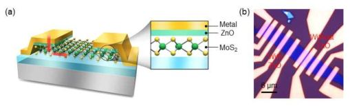 ZnO 삽입층이 적용된 MoS2 FET 소자의 (a) 단면 구조도, (b) 광학현미경 사진