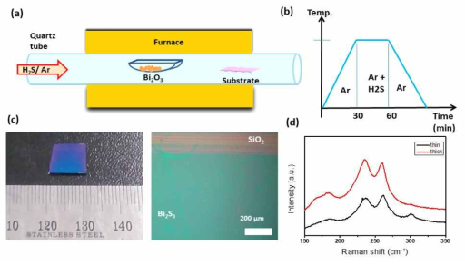 합성 모식도와 합성 조건 및 합성된 Bi2S3 광학현미경 사진과 라만 데이터