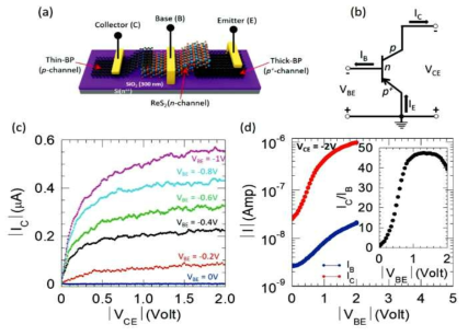 BP (38nm) –ReS2 (11nm) –BP (5.8nm) 이종 접합에 기반한 BJT 양극 접합 트랜지스터의 전기적 특성 (a) 모식도; (b) BJT 등가회로도; (c) 전압에 따른 BJT Output 특성; (d) 측정한 BJT에 대한 Gummel plot