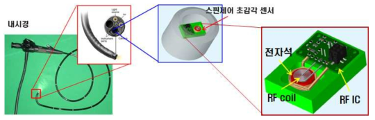 초소형 암진단 NMR 센서(스핀제어 초감각 센서)의 구조 개념도 및 내시경 장착 활용을 나타낸 개념도