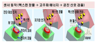 초소형 암진단 NMR 센서의 동작원리 개념도