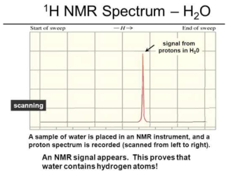 물 속의 양성자 핵스핀 핵자기공명 신호 예