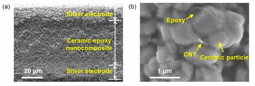 (a) 세라믹-에폭시 압전 나노복합체 필름 단면 SEM 이미지, (b) CNT-doped 압전 나노복합체 FE-SEM 이미지