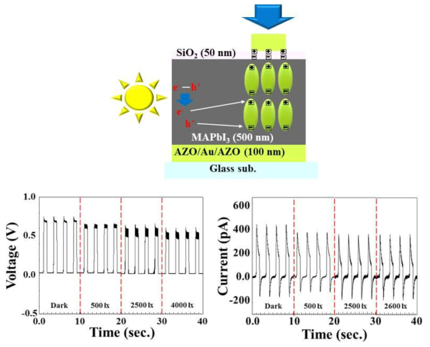 (상) 빛의 세기에 따라 출력이 감소하는 MAPbI3 센서 소자의 매커니즘 및 (하) 3N 힘 인가에서 빛의 세기에 따라 변화하는 출력전압 및 출력전류 특성