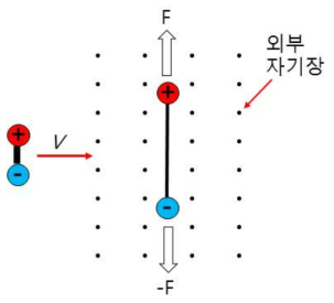 정전기력으로 결합된 두 정전하가 자기장 속에서 운동할 때 로렌츠 힘에 의해 분리되는 모델