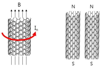 CNT를 관통하는 자기장 세기 변화에 의한 (좌) 유도 전류와 (우) 막대자석이 된 두 CNT