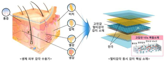 고민감 멀티감각 감지 소재 개념도