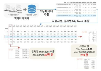 Trip 데이터 분석