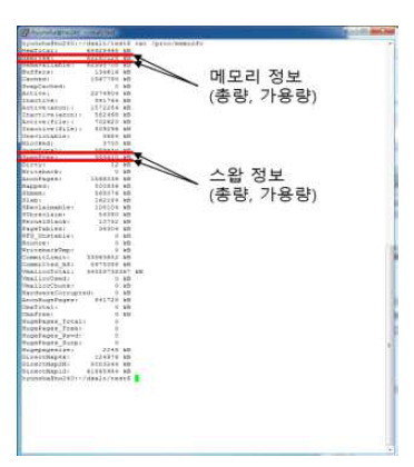 /proc/meminfo 정보
