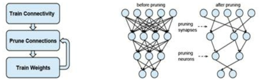 Pruning: 3단계 training – Pipeline, Synapses, Neurons