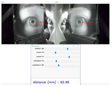 눈 간 거리 자동 측정 알고리즘 개발 및 데이터베이스 구축