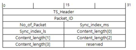 Packet Header 구조