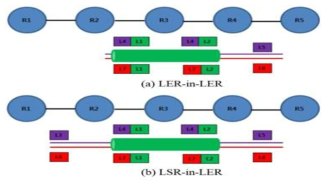 Label-Stacking:LER-in-LER vs LSR-in-LER