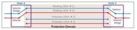 MPLS-TP Linear Protection