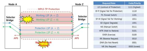 MPLS-TP Protection 구조와 보호 절체 우선 순위