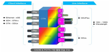ROADM & POTN 기반 통합 전송 구조