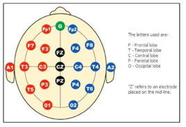 EEG 측정을 위한 표준 전극 위치