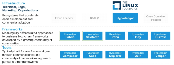 hyperledger modular umbrella approach