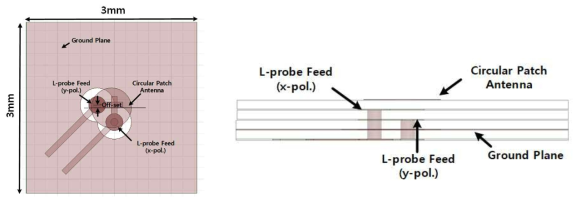 제안된 이중편파 안테나의 정면도(좌), 측면도(우)