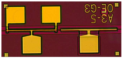 Tunable DBR 레이저 칩