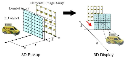 Integral Imaging 기본 구조