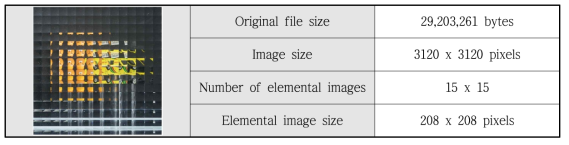 제안하는 압축 방법 실험을 위한 요소 영상 배열 정보