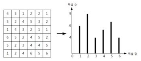 영상의 픽셀값(좌) 및 히스토그램 그래프(우)