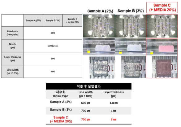 바이오잉크 점도선정을 위한 적층가능 두께 및 유지도 평가
