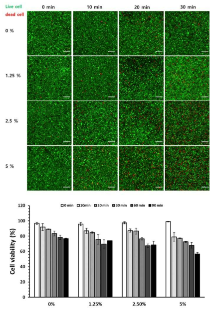 4℃에서 젤라틴 농도에 따른 세포 생존율 비교