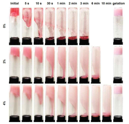 시간에 따른 농도별 Paste type bioink 점도 비교