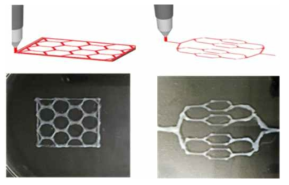 확립된 지방 바이오잉크 프린팅 공정을 활용한 2가지 패턴의 정교한 패턴의 구조체 제작