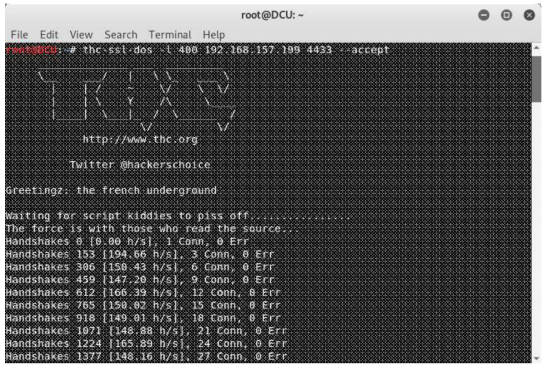 thc-ssl-dos 실행 화면