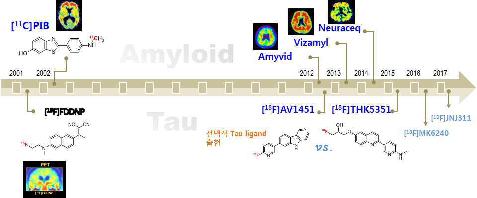 아밀로이드-PET 출시 이후 타우-PET 연구로 관심 이동