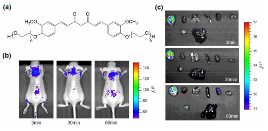치매 진단용 신규 의약품의 광학영상을 이용한 생체내 분포 (a) Curcumin-diPEG6의 구조 (b) 각 시간 대의 뇌 섭취율 in vivo 영상 (c) 각 시간대 별로 영상 획득 후, ex vivo 영상. 순서대로 뇌, 심장, 폐, 비장, 신장, 근육, 지방, 간 조직
