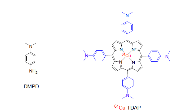 DMPD와 64Cu-TDAP의 구조